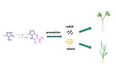 Exploration of a Library of Triazolothiadiazines as Potent Plant Growth Promoters: Design, Synthesis, X-ray Diffraction Analysis and Bioactivity Studies 2011-3225
